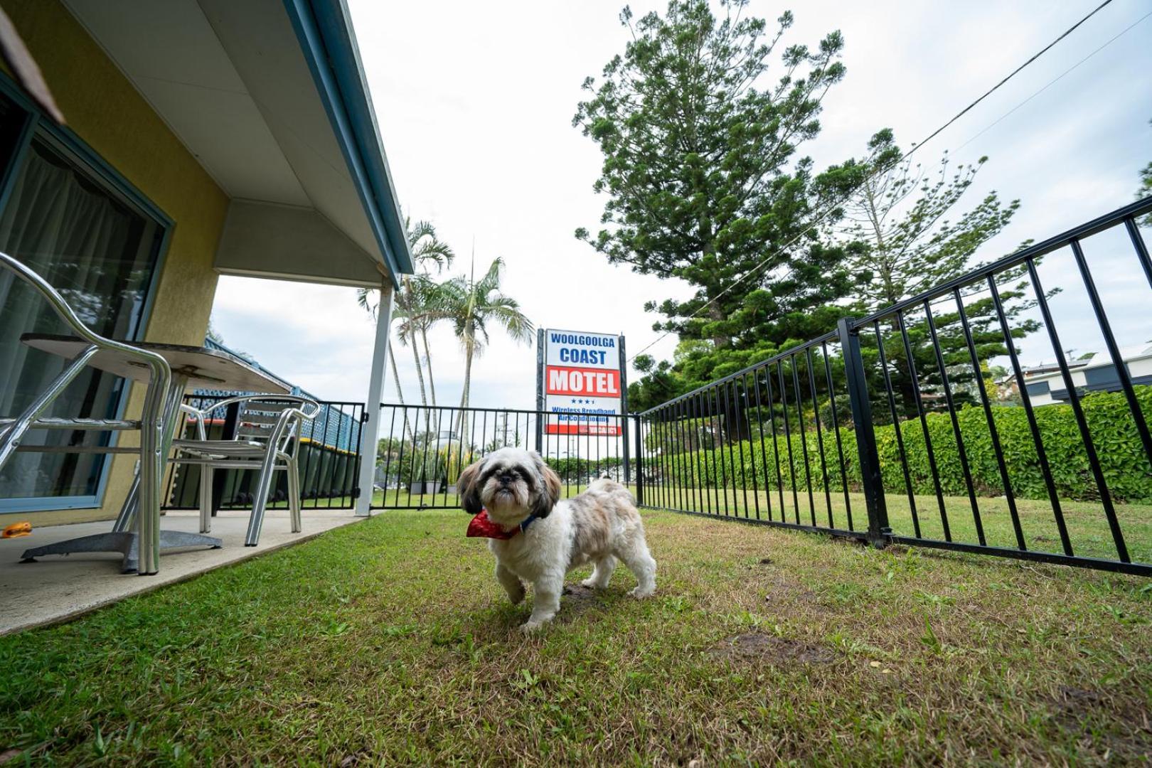 Woolgoolga Coast Motel Cameră foto